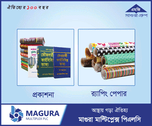Magura Multiplex PLC