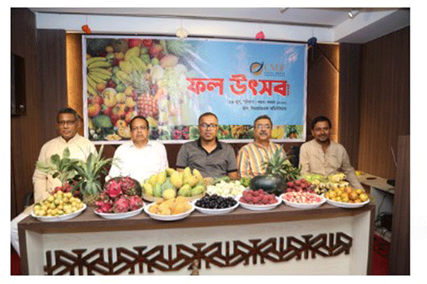 ‘ গত ১২ বছরে প্লেসমেন্টকে বাজেভাবে ব্যবহার করা হয়েছে’ 