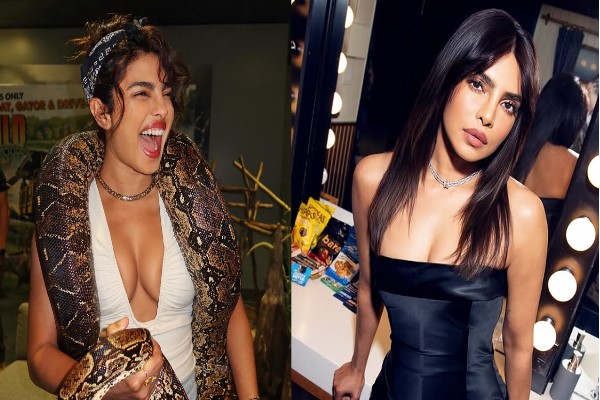 প্রিয়াঙ্কার গলায় অজগর