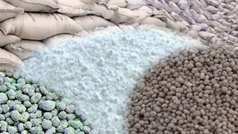 রাশিয়া ও সৌদি আরব থেকে ৭৫ হাজার টন সার কিনবে সরকার