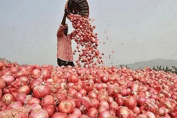 পেঁয়াজ আমদানির পরিমাণ বাড়ছে