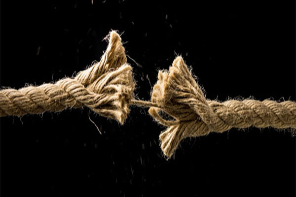 টপটেন লুজারের শতভাগ পঁচা শেয়ার