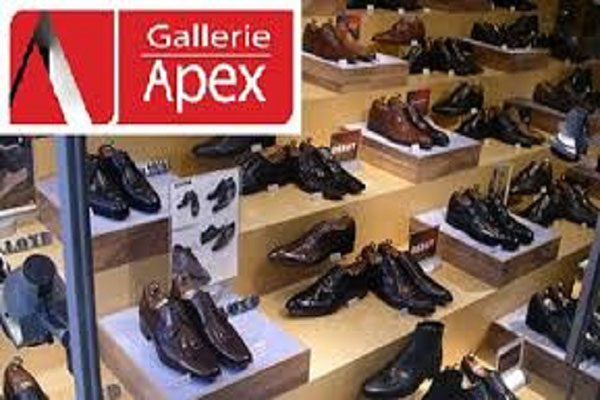 এপেক্স ফুটওয়্যারের মুনাফা বেড়েছে ৩০ শতাংশ