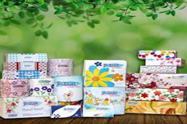 হাক্কানি পাল্পের মুনাফা বেড়েছে ১১ শতাংশ