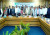 বিএসইসির কাজ মধ্যস্থতা না, আইনের শাসন পরিপালন : আনিসুজ্জামান
