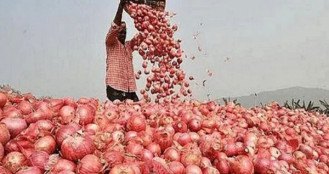 পেঁয়াজ আমদানির পরিমাণ বাড়ছে