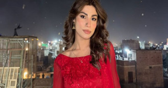 বিচার চাইলেন পাকিস্তানি মডেল