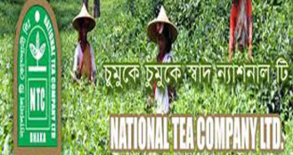 লভ্যাংশ দেবে না ন্যাশনাল টি